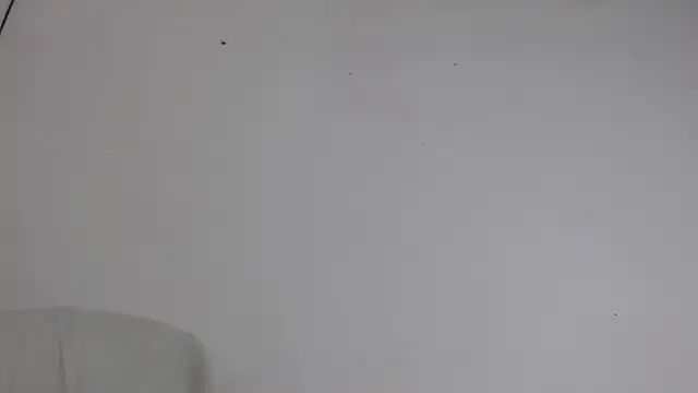 Snapshot of Niurca01_ chatting on 10/05/25, 10:51 Niurca01 online show from 10/05/25, 10:51