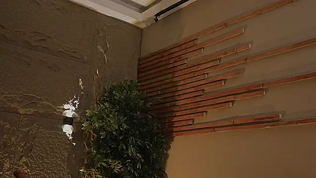 Logan Varela online show from 11/01/25, 12:56