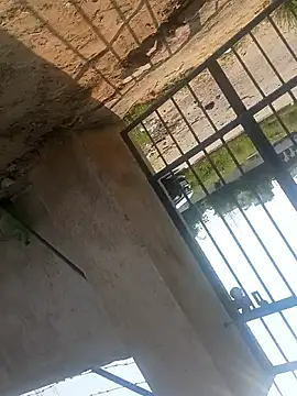 Snapshot of rjxraj chatting on 10/23/25, 04:34 rjxraj online show from 10/23/25, 04:34