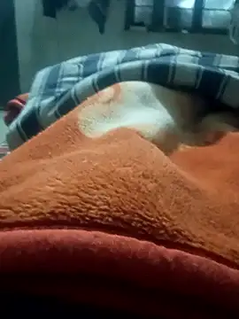 Snapshot of rjxraj chatting on 01/11/26, 03:17 rjxraj online show from 01/11/26, 03:17