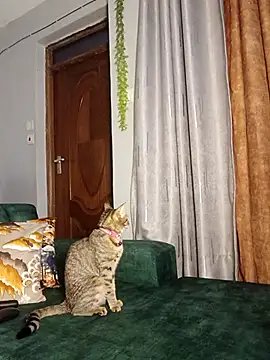 C-yoyo online show from 12/14/25, 09:58