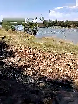 BaseDick online show from 09/24/25, 10:07