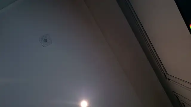 Liv Fay online show from 12/28/24, 02:10