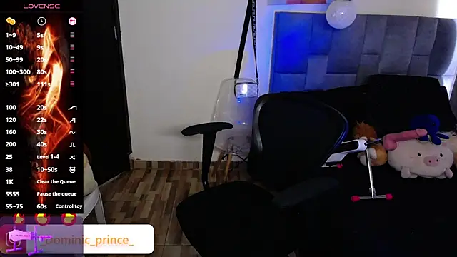 Snapshot of DominicPrince chatting on 11/24/25, 07:02 DominicPrince online show from 11/24/25, 07:02