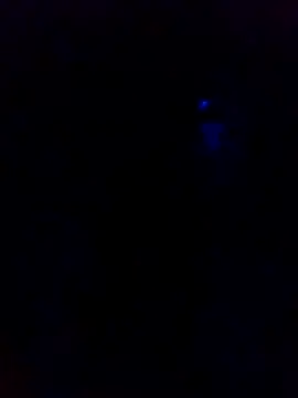 Snapshot of dotado20robson chatting on 02/16/26, 04:41 dotado20robson online show from 02/16/26, 04:41