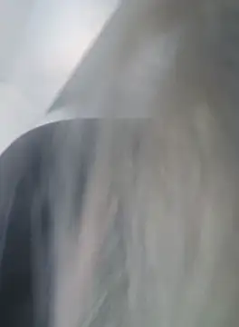 Linda 999 online show from 09/19/25, 09:54