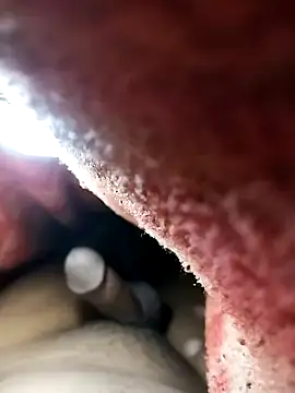 Snapshot of Nzfl97 chatting on 02/01/25, 10:44 Nzfl97 online show from 02/01/25, 10:44