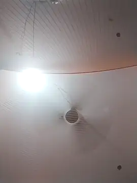 Snapshot of Nzfl97 chatting on 03/30/26, 04:52 Nzfl97 online show from 03/30/26, 04:52