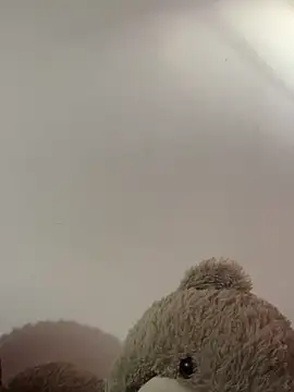 Snapshot of Andricastro chatting on 02/18/25, 11:33 Andricastro online show from 02/18/25, 11:33