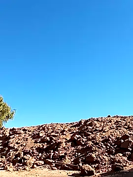 luke thighwalker2469 online show from 01/13/25, 08:48