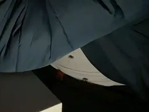 Snapshot of tomazu11 chatting on 10/26/25, 06:30 tomazu11 online show from 10/26/25, 06:30