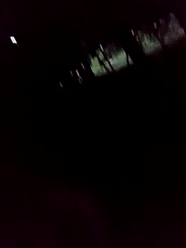 Snapshot of mis312 chatting on 09/11/25, 04:23 mis312 online show from 09/11/25, 04:23