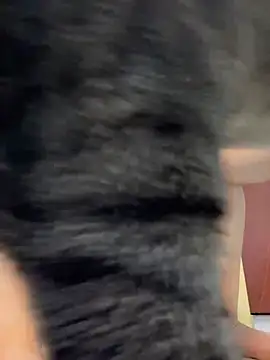 Snapshot of Barbielatinas chatting on 02/14/26, 04:31 Barbielatinas online show from 02/14/26, 04:31