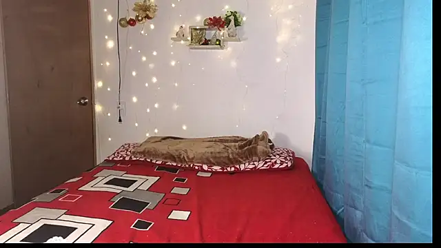 Snapshot of hikary_hall chatting on 12/24/24, 04:55 hikary hall online show from 12/24/24, 04:55