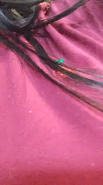 ailyn miranda online show from 11/29/25, 07:50