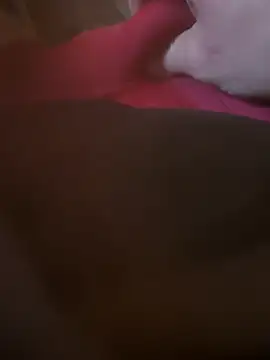 Snapshot of Fjome chatting on 11/15/25, 08:00 Fjome online show from 11/15/25, 08:00