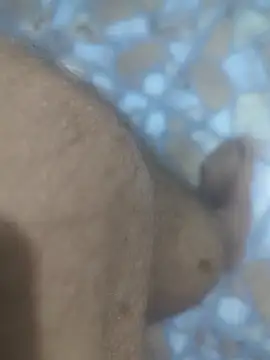 Snapshot of Sunnyboy7897 chatting on 03/09/26, 10:47 Sunnyboy7897 online show from 03/09/26, 10:47