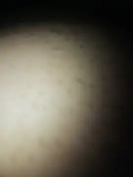 Gostosooooooooooso online show from 05/27/26, 05:10