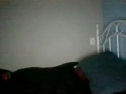 Snapshot of SmokingSloth chatting on 03/16/25, 11:27 SmokingSloth online show from 03/16/25, 11:27