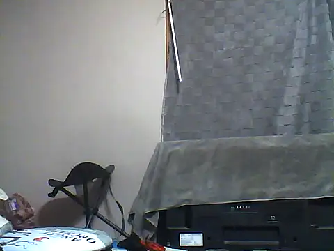 Snapshot of SmokingSloth chatting on 12/05/25, 12:25 SmokingSloth online show from 12/05/25, 12:25