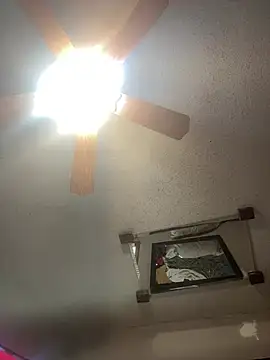 Snapshot of SmokingSloth chatting on 02/06/26, 02:31 SmokingSloth online show from 02/06/26, 02:31