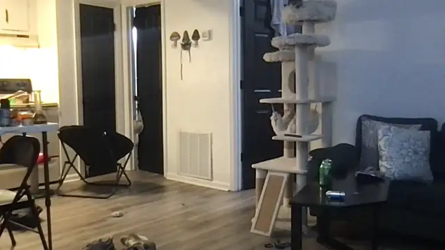 Snapshot of SpunCandy chatting on 10/01/25, 04:29 SpunCandy online show from 10/01/25, 04:29