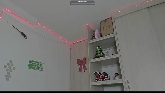 Snapshot of _diegsz_ chatting on 01/10/25, 09:55 diegsz online show from 01/10/25, 09:55