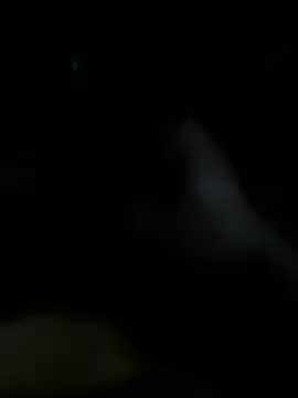 Josevictor650 online show from 06/16/26, 07:33