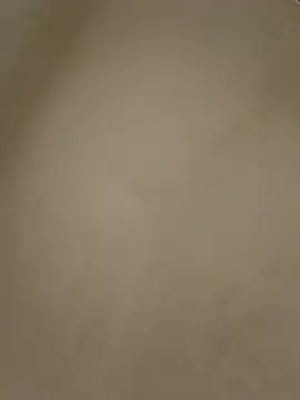 anabella1888 online show from 05/08/26, 08:14