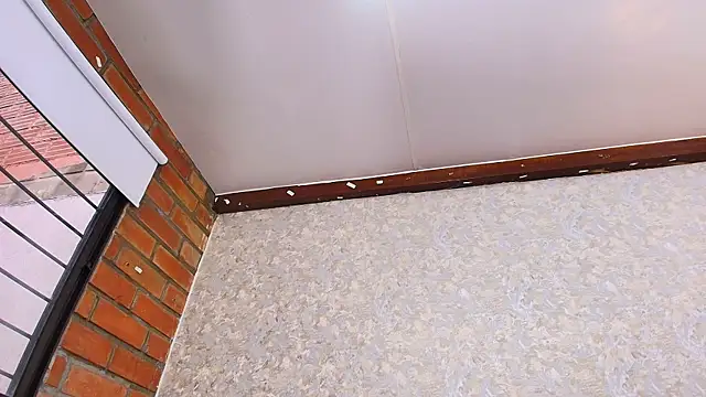 nicol f online show from 10/23/25, 07:23