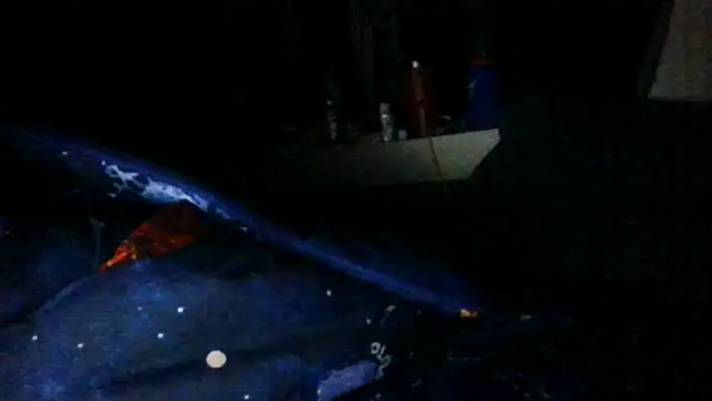 Snapshot of toast843 chatting on 02/09/25, 06:22 toast843 online show from 02/09/25, 06:22