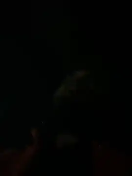 Snapshot of Rastamanzigy22 chatting on 02/12/26, 02:06 Rastamanzigy22 online show from 02/12/26, 02:06