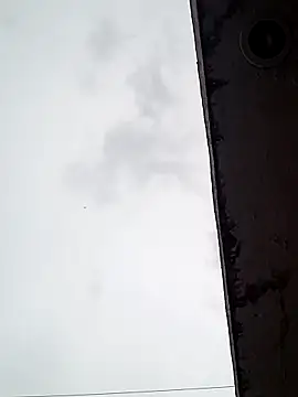 Snapshot of Professor_Leo_ chatting on 02/16/25, 11:05 Professor Leo online show from 02/16/25, 11:05