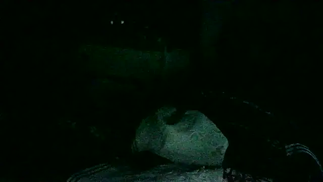 DI4MOND FIR3 online show from 11/18/25, 10:41