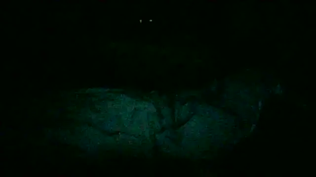 DI4MOND FIR3 online show from 11/28/25, 12:24