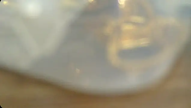 Snapshot of Rashisharma chatting on 10/14/25, 12:06 Rashisharma online show from 10/14/25, 12:06