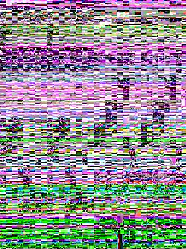 Snapshot of SandraCarter chatting on 06/07/26, 07:12 SandraCarter online show from 06/07/26, 07:12