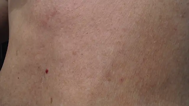 Toy-Daddy online show from 11/20/25, 12:33