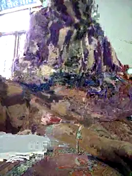 FeltedEuropium online show from 12/18/25, 08:09