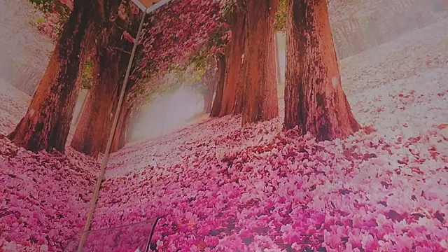Wet nympho online show from 05/03/26, 06:52