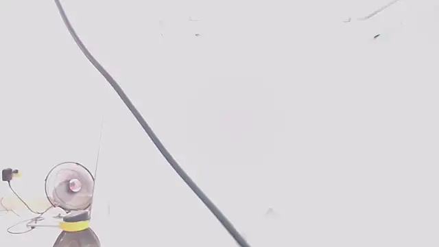 jhon tomson1 online show from 02/15/25, 07:28