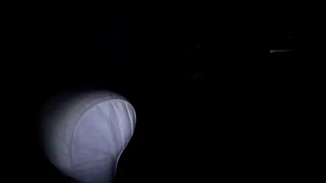 byakkotorra online show from 03/05/25, 09:48