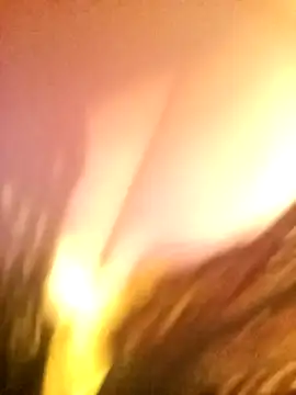 JAWHARA  online show from 12/14/25, 10:03