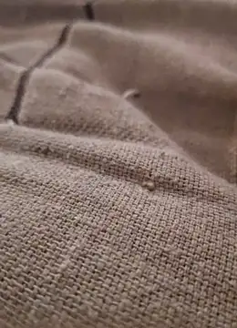 iaparna online show from 12/09/24, 05:07