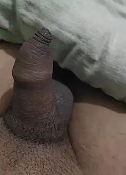 iaparna online show from 12/29/24, 06:38