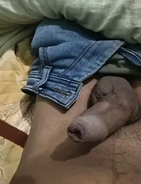 iaparna online show from 12/30/24, 08:32