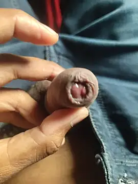 iaparna online show from 11/17/25, 07:58