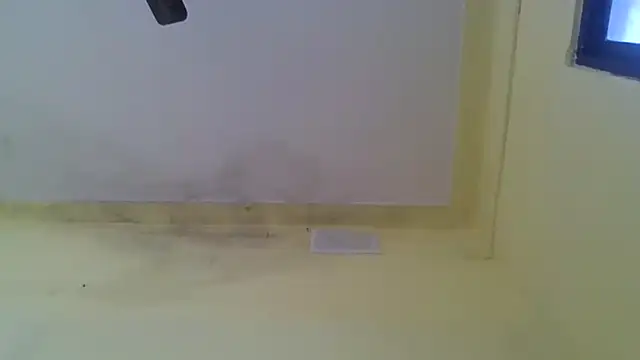 Snapshot of Nitya-Mahesh chatting on 01/20/25, 09:24 Nitya-Mahesh online show from 01/20/25, 09:24