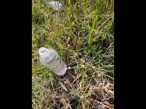 boy BeardGallery online show from 11/10/25, 09:52