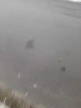 Snapshot of BRUNNA chatting on 03/20/25, 03:34 BRUNNA online show from 03/20/25, 03:34